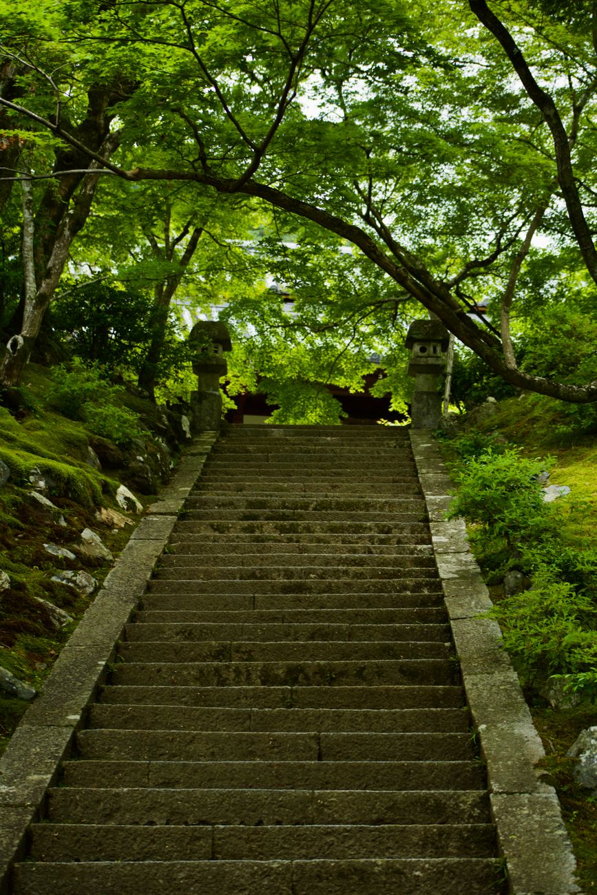 Kyoto Gardens